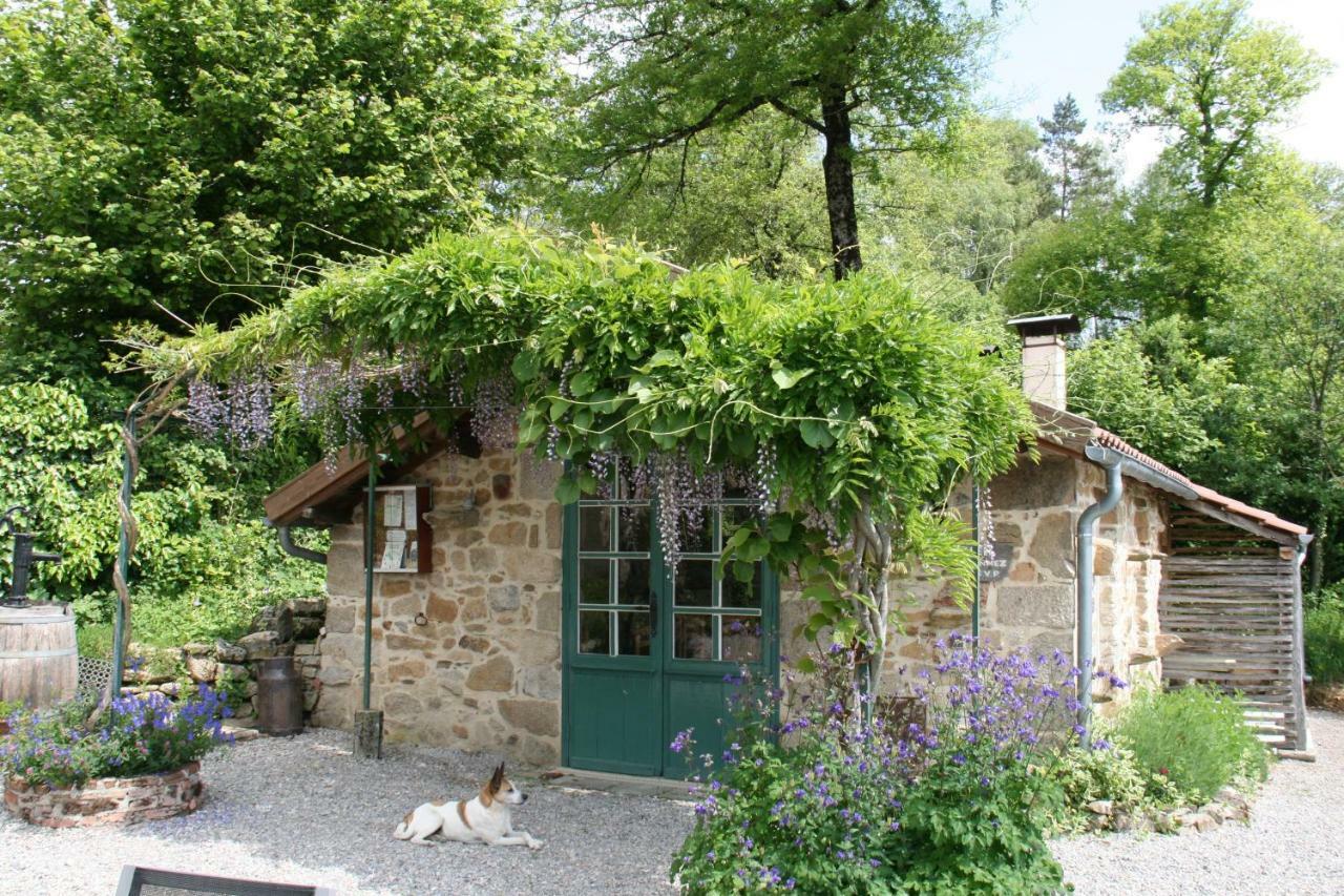 Lacam-dʼOurcet Domaine Les Teuilleres B&B 외부 사진