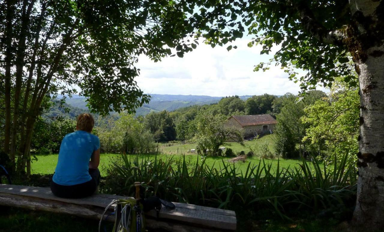 Lacam-dʼOurcet Domaine Les Teuilleres B&B 외부 사진